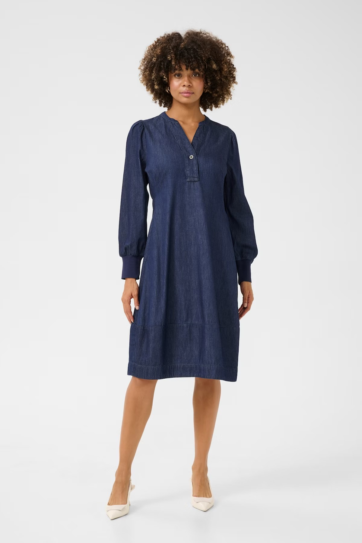 Pin Arpa Denim Dress