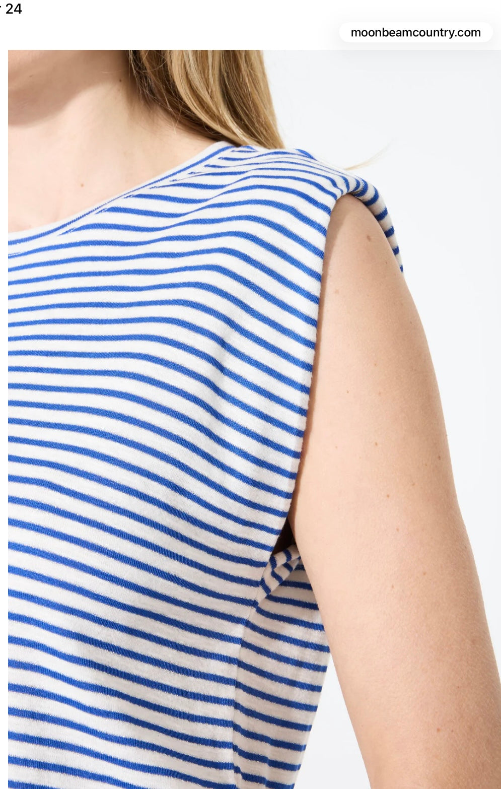 Sheila Sleeveless Striped Tee - Blue