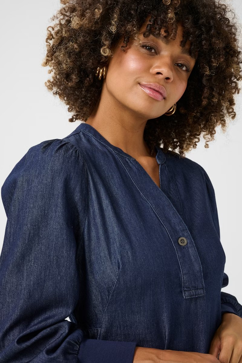 Pin Arpa Denim Dress